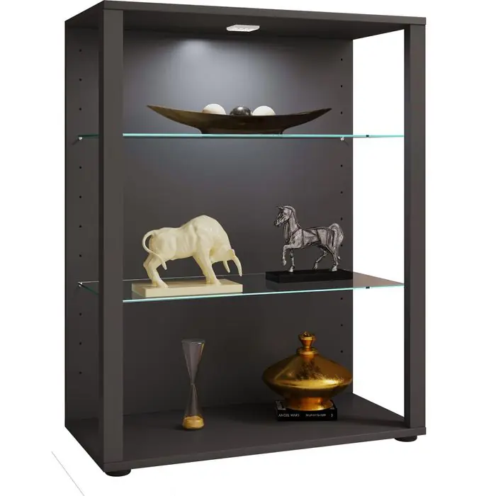 Billig VCM Glasvitrine Glasol L, stehend, 2 Fachböden, 70 x 90 x 35cm, anthrazit