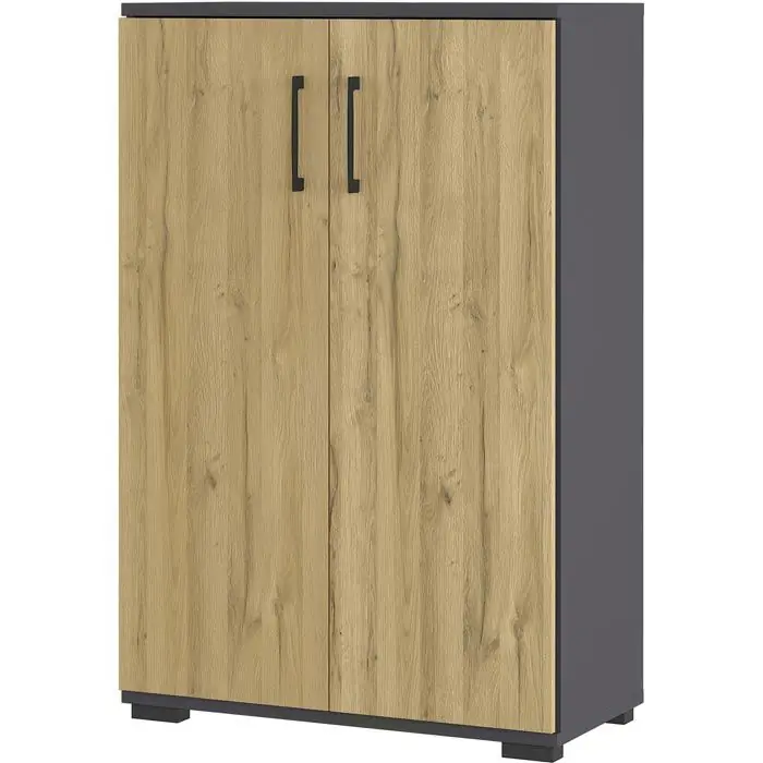 Germania Aktenschrank Profi 3.0, 4247-564 aus Holz, 80 x 123 x 40 cm (B/H/T), grandson-eiche / graphit Neu Im Sortiment