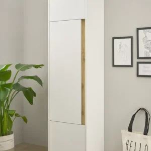 Home affaire Aktenschrank »CiTY/GiRON« Stauraumschrank zeitlos modern, wohnliches Home Office, Breite 50 cm Online Kaufen