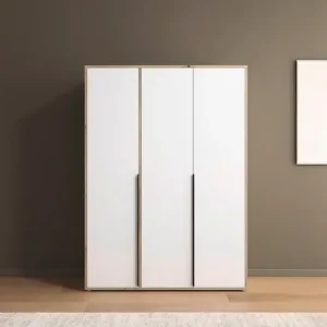 rauch Drehtürenschrank »Kleiderschrank Schrank Garderobe Wäscheschrank NAGATA viel Stauraum« in 3 verschiedenen Ausstattungen BASIC/CLASSIC/PREMIUM,mit modernen Stangengriffen in Graumetallic TOPSELLER MADE IN GERMANY Markenprodukt