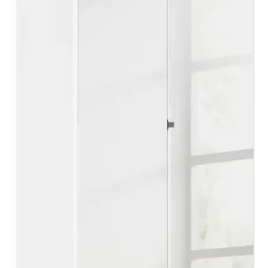 rauch Drehtürenschrank »Reflect« mit Spiegelfront, inkl. praktischer Inneneinteilung Aktuell