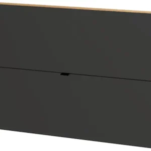 GERMANIA Schuhschrank »Ameca« 1 Stk. tlg. ideal für schmale Flure, Schuhkipper in Breite 140 cm Kostenfreie Lieferung