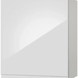 KOCHSTATION Hängeschrank »KS-Virginia« 50 cm breit, mit 1 Tür Expressversand