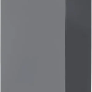 BASIC by Balculina Kühlumbauschrank »Bilberry« Breite 60 cm Letzte Chance