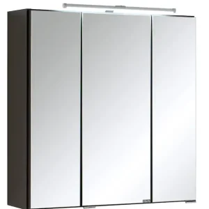 welltime Spiegelschrank »Cardiff« Breite 60 cm, mit Schalter und Steckdose Geprüft