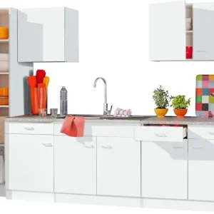 KOCHSTATION Hängeschrank »KS-Elster« Breite 50 cm, 1 Einlegeboden Ausverkauf