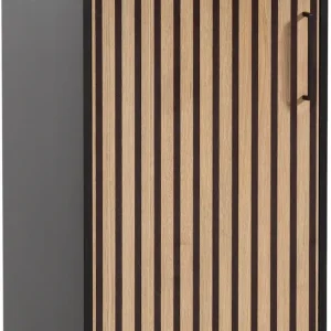 Sofort Bestellen welltime Aktenschrank »Hank, MADE IN GERMANY, Breite 50 cm« Tür mit Akustikprint, Metallbeschläge, Softclose-Funktion