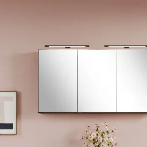 welltime Spiegelschrank Welltime, Breite 120 cm, gedämpfte Scharniere, inkl. Steckdose Jetzt Bestellen