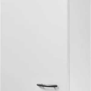 Nur Heute Flex-Well Hängeschrank »Wito« (B x H x T) 40 x 54,8 x 32 cm