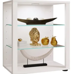 Bestpreis VCM Standvitrine »Holz Glas Stand Vitrine Sammelvitrine Glasol S« 1 Stk. tlg.