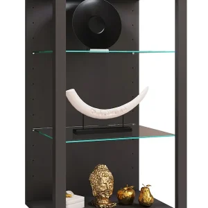 Begrenztes Angebot VCM Standvitrine »Holz Glas Stand Vitrine Sammelvitrine Glasol XL« 1 Stk. tlg.