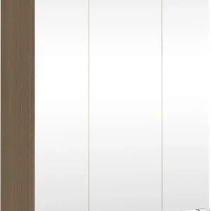 welltime Spiegelschrank »EIXO, 3 Türen, 6 verstellbare Glasböden, gedämpfte Scharniere« Sonderangebot