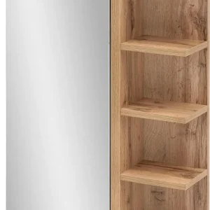 Schildmeyer Spiegelschrank Breite 50 cm, 1-türig, LED-Beleuchtung, Schalter-/Steckdosenbox Solange Der Vorrat Reicht