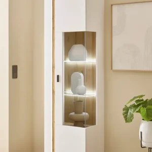 Kostenfreie Lieferung Home affaire Vitrine »LONG ISLAND« 1 Stk. tlg. in moderner Trendfarbe,inklusive senkrechter Beleuchtung,Breite 55 cm