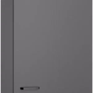 Preisknaller KOCHSTATION Hängeschrank »KS-Paula« 60 cm breit, 70 cm hoch, mit 1 Tür, 2 Einlegeböden