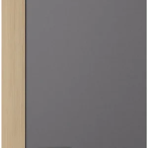 KOCHSTATION Hängeschrank »KS-Lucy« Breite 50 cm, mit 1 Tür, 2 Einlegeböden, Soft-Close Jetzt Bestellen