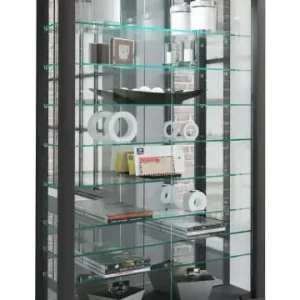ebuy24 Vitrinenschrank VitrosaMini 10 Schwarz 59 x 18 cm günstig kaufen | limango Kostenloser Versand
