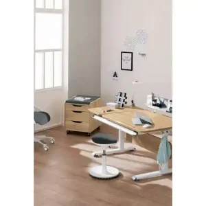 Neue Kollektion PAIDI Rollcontainer Diego | Möbel Höffner