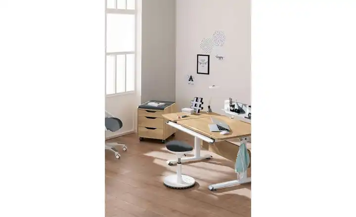 Neue Kollektion PAIDI Rollcontainer Diego | Möbel Höffner