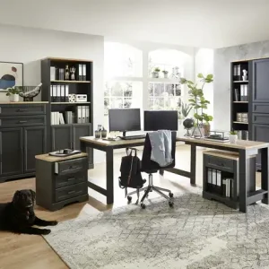 Aktenschrank Varese | Graphit, Asteiche (Nachbildung) Sonderaktion