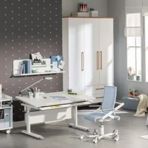 PAIDI Rollcaddy e-lion 1 | Möbel Höffner Solange Der Vorrat Reicht