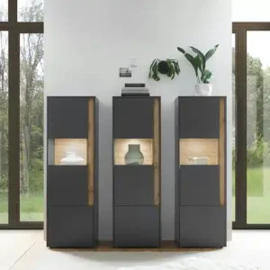 Wohnwand Cande | Eiche (Nachbildung), Anthrazit Schnäppchen