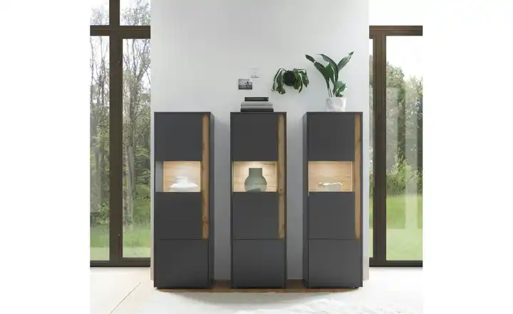 Wohnwand Cande | Eiche (Nachbildung), Anthrazit Schnäppchen