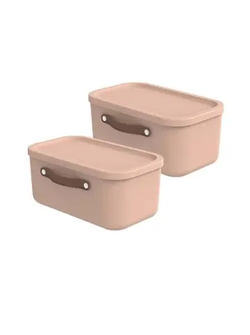 Neuheit Rotho 2er-Set Kiste mit Deckel Maloja 12l in Meadow rose günstig kaufen | limango