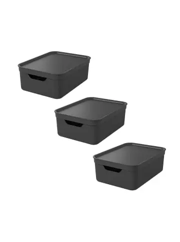 Nur Für Kurze Zeit Rotho 3er Set Aufbewahrungsbox mit Deckel 10L JIVE in Holzkohle schwarz ged. günstig kaufen | limango