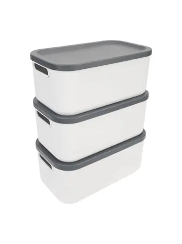 Letzte Chance Rotho Set Box 12l 3 tlg. ALBULA light günstig kaufen | limango