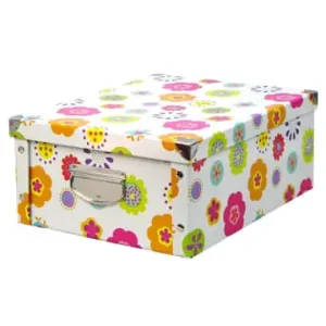 Top-Preis Zeller Present Aufbewahrungsbox in mehrfarben günstig kaufen | limango