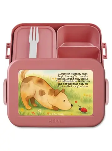 Mr. & Mrs. Panda Bento Box Hund Marienkäfer Design mit Spruch in Rot Pastell günstig kaufen | limango Versand Am Gleichen Tag