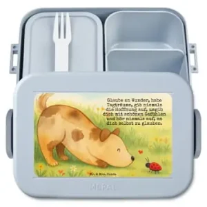 Mr. & Mrs. Panda Bento Box Hund Marienkäfer Design mit Spruch in Blau Pastell günstig kaufen | limango Kostenloser Rückversand