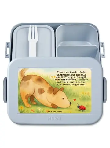 Mr. & Mrs. Panda Bento Box Hund Marienkäfer Design mit Spruch in Blau Pastell günstig kaufen | limango Kostenloser Rückversand