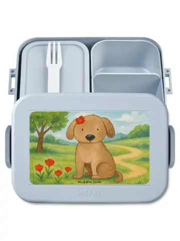 Mega-Angebot Mr. & Mrs. Panda Bento Box Hund Dame Design ohne Spruch in Blau Pastell günstig kaufen | limango