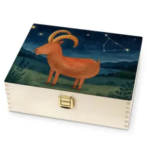 Mr. & Mrs. Panda Tee Box Sternzeichen Steinbock Design ohne Spruch in Weiß günstig kaufen | limango Aktuell