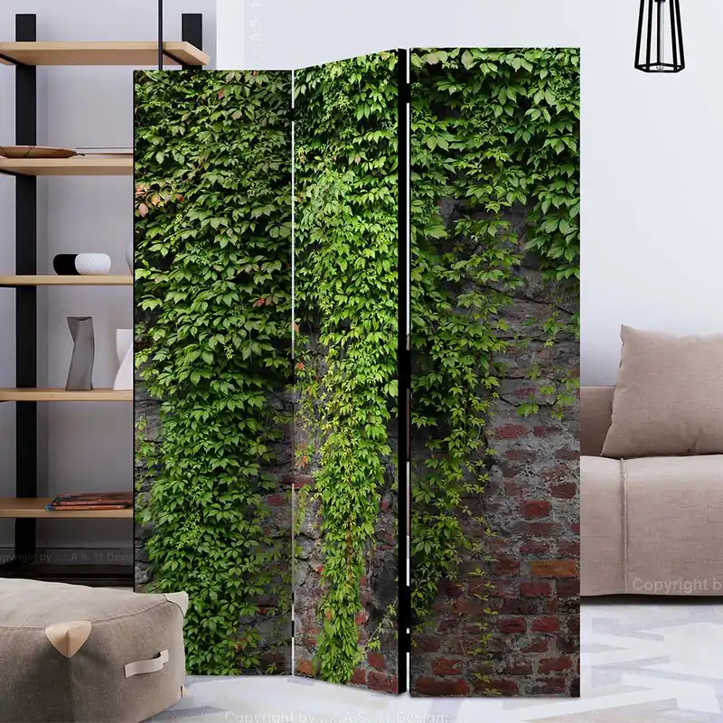 Fotodruck Paravent Mauer & Wilder Wein Ranke - Manuel Preiswert